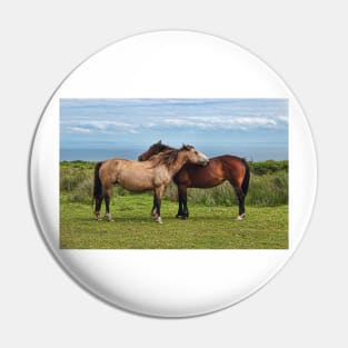 The Lundy Ponies Pin