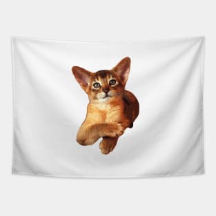 Abyssinian Kitten Cat Cute! Tapestry