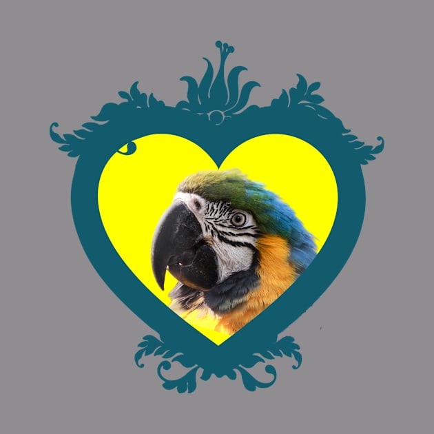 Parrot in a Heart Shaped Frame by AtkissonDesign