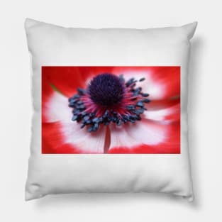 Red Anemone centre and stamens Pillow