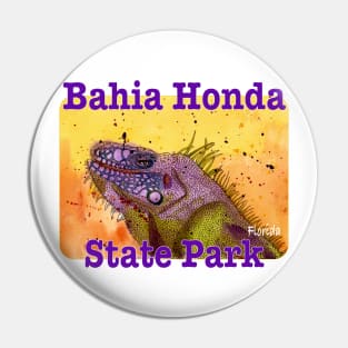 Bahia Honda State Park, Florida Pin