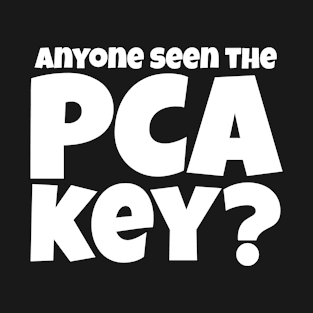 Anyone Seen the PCA Key? Nurse Gift T-Shirt