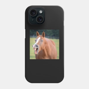 Horse Laugh Picture Phone Case