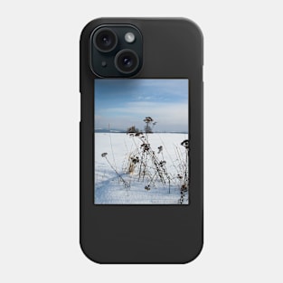 Grasses in snow Phone Case