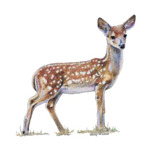 Fawn drawing (no background) T-Shirt