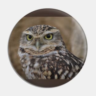 Burrowing Owl Pin