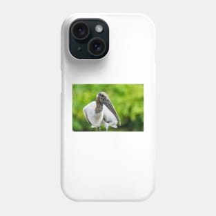 Wood stork  2 Phone Case