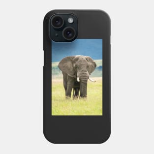 Elephant, Ngorongoro Crater, Tanzania Phone Case