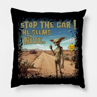 Stop The Car! He Seems Nice. Pillow