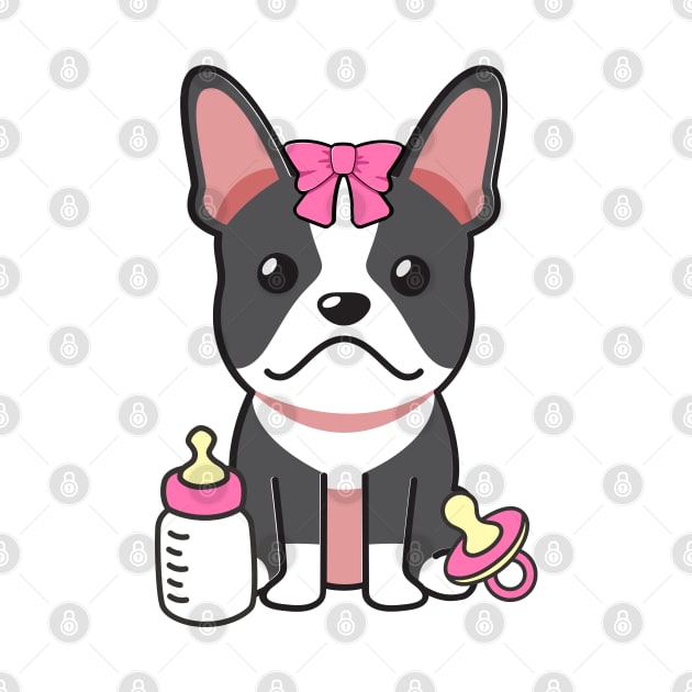 Cute french bulldog is a baby - girl by Pet Station