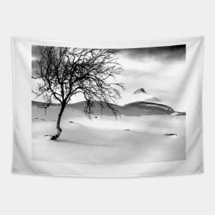 Arctic Winter Tapestry