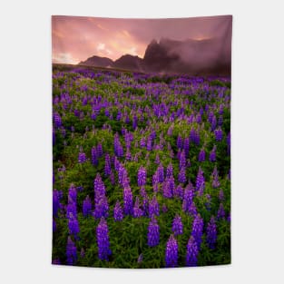 Sunrise over the Lupins Tapestry