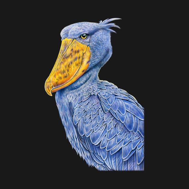 Shoebill Stork by Tim Jeffs Art