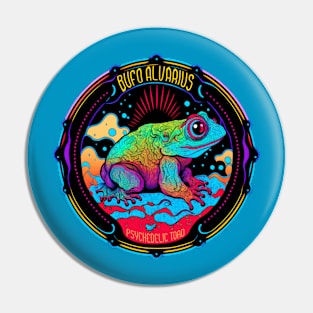 Colorado River Toad Pin