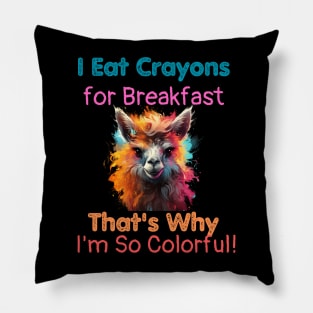 Crayon Eater Pillow