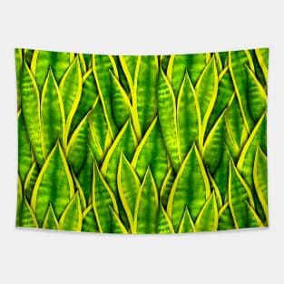 Sansevieria Trifasciata Laurentii Pattern Tapestry