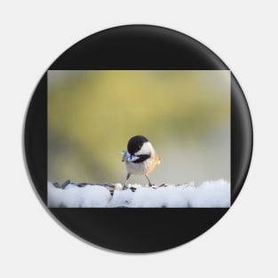 Chickadee in winter Pin