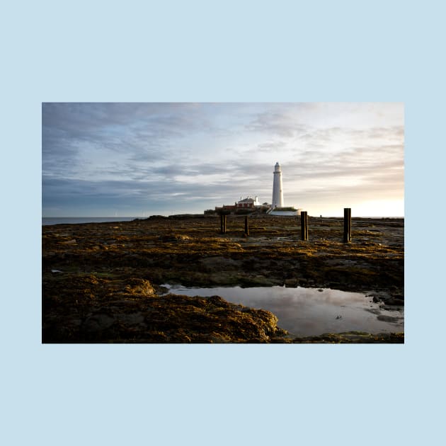 St Mary's Island in October sunshine by Violaman