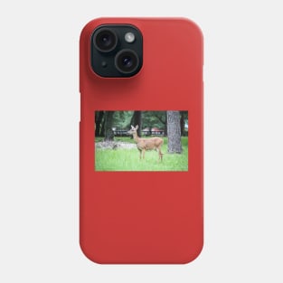 Wondering Deer Phone Case