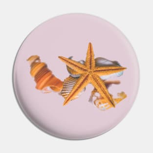 Summer Holidays Nature Seashells Pin