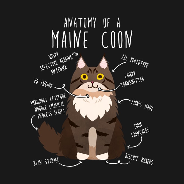 Maine Coon Cat Anatomy by Psitta