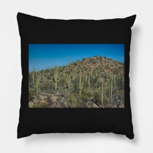 Saguaro National Park Tucson Pillow