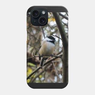 Black-capped Chickadee Perched In A Tree Phone Case