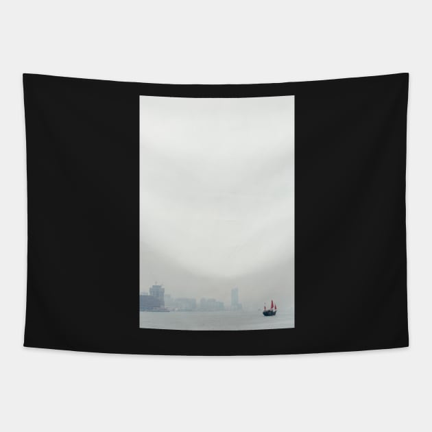 Hong Kong Harbour Tapestry by visualspectrum