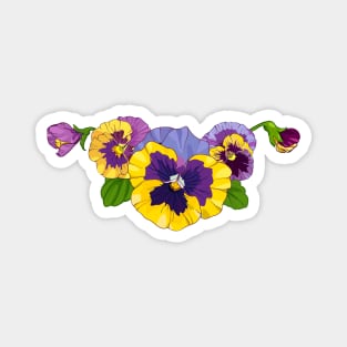 purple pansy flowers Magnet