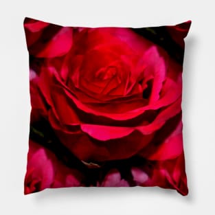 Red Roses Pillow