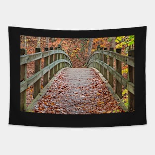 Bridge to Fall - Rock Creek Park Tapestry