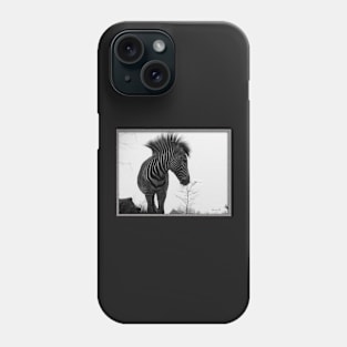 Zebra Portrait Phone Case