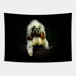 Cotton-top tamarin Tapestry