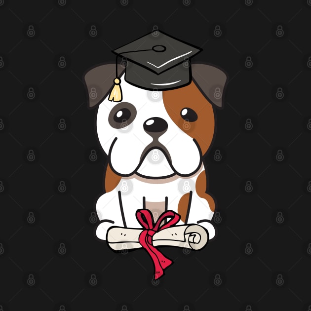 Funny Bulldog is graduating by Pet Station