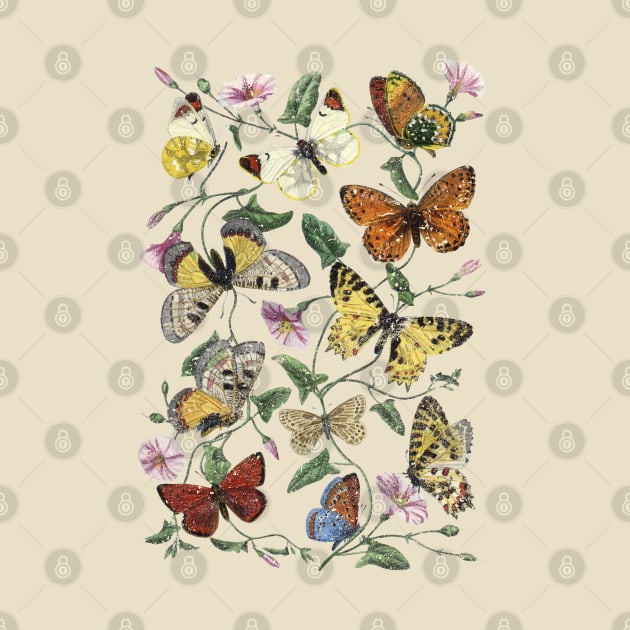 Vintage Butterflies by Pith & Vinegar