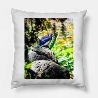 Blue Jay In My Garden Pillow