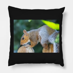 Squirrel on the fence Pillow