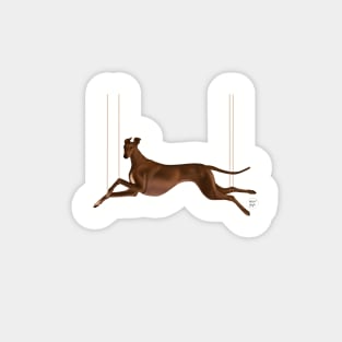 Sighthound Suspension Magnet