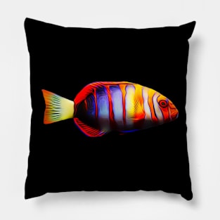 Tusk Wrasse Pillow