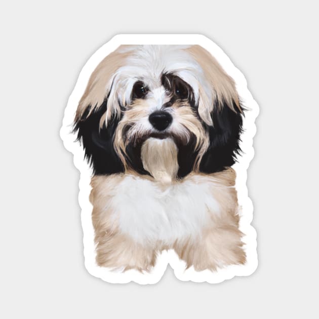 Cute Havanese Drawing Magnet by Play Zoo