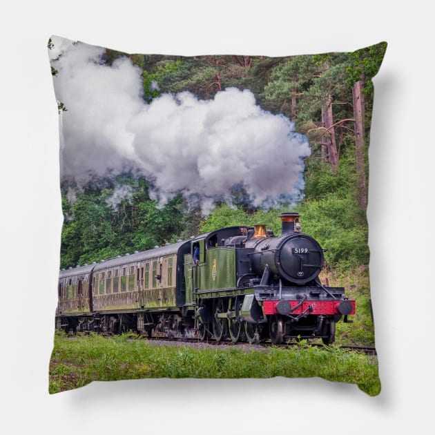 The Branch Line Pillow by SteveHClark