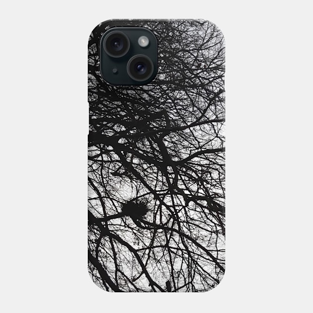 Winter Branches Phone Case by Celtic Morrigan