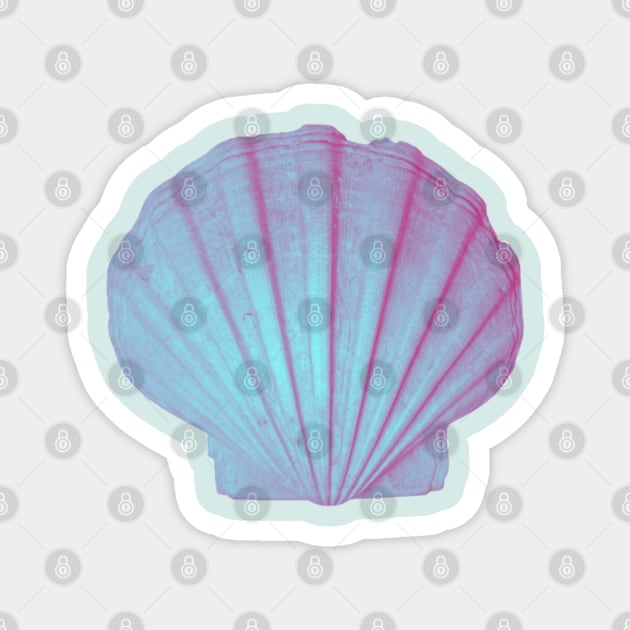 sea shell print Magnet by artbleed