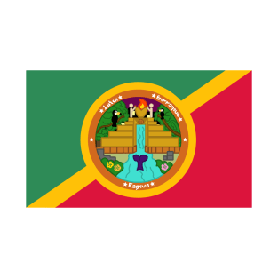 Latin Simmerica - Flag T-Shirt