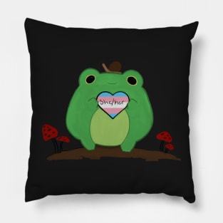 Pronoun Frog She Her Trans Pillow