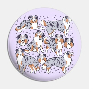 Miniature american shepherd dog illustration Pin