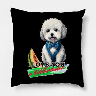 I Love You a Watermelon Pillow