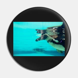 Cute penguin swimming in crystal blue water Pin