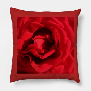 Red Rose Flower Macro Pillow