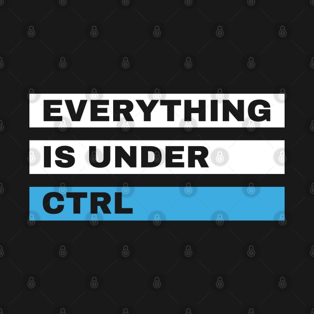 Everything is Under Ctrl Funny Computer design by Mohammed ALRawi